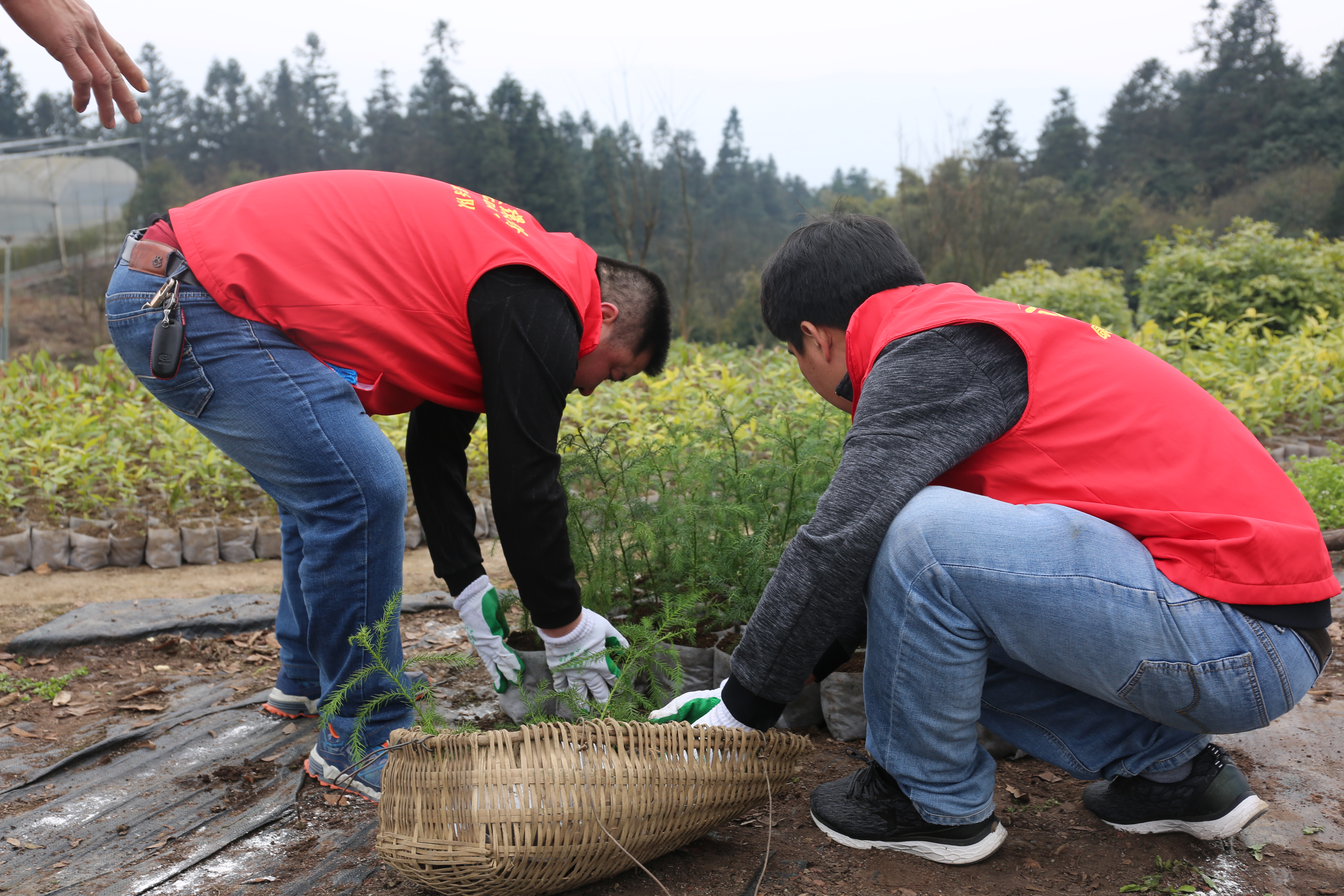 中国·8590am发现海洋财富(海洋之神)官方网站