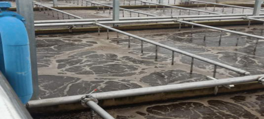 中国·8590am发现海洋财富(海洋之神)官方网站