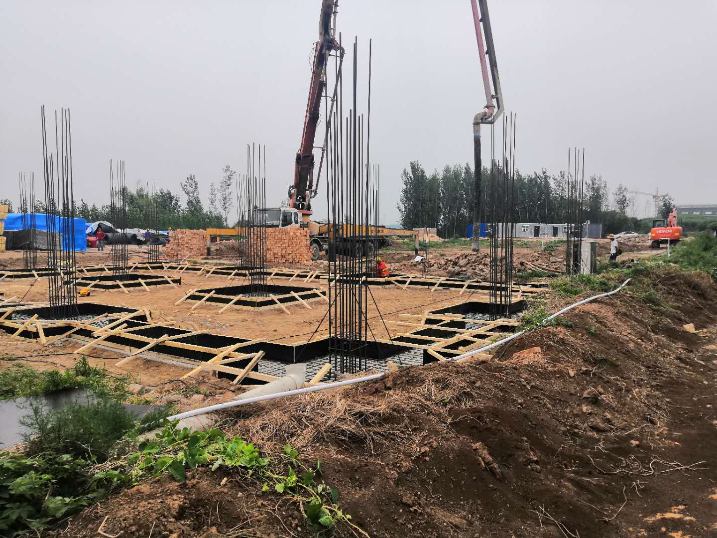 中国·8590am发现海洋财富(海洋之神)官方网站