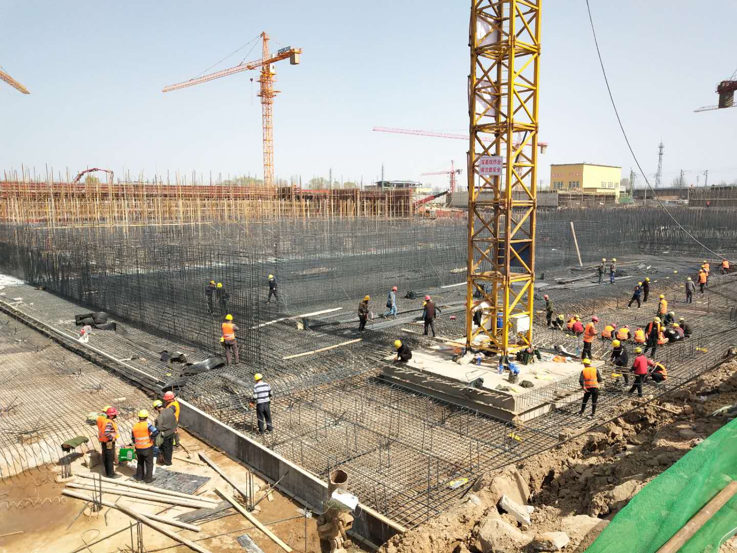 中国·8590am发现海洋财富(海洋之神)官方网站