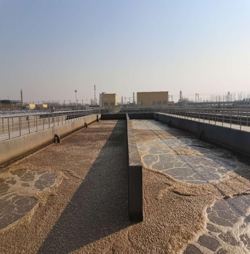 中国·8590am发现海洋财富(海洋之神)官方网站